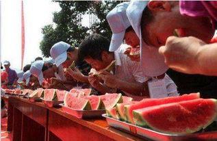 趣味吃瓜比赛视频,一场舌尖上的欢乐盛宴