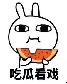 娱乐圈吃瓜沙雕动画,沙雕动画中的吃瓜盛宴，笑料百出！