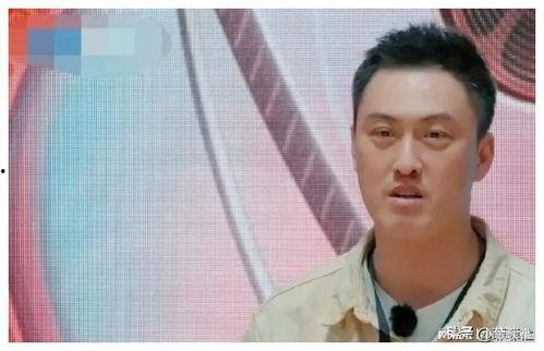 娱乐圈吃瓜教主小说