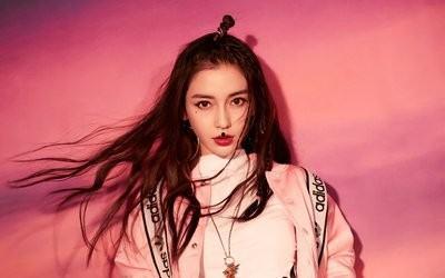 娱乐圈吃瓜杨颖图片高清