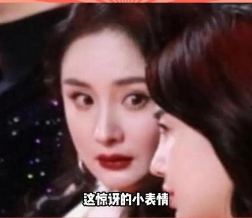 不喜欢娱乐圈吃瓜